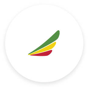 TURKISH CARGO CONTACT NUMBER USA visual data 6